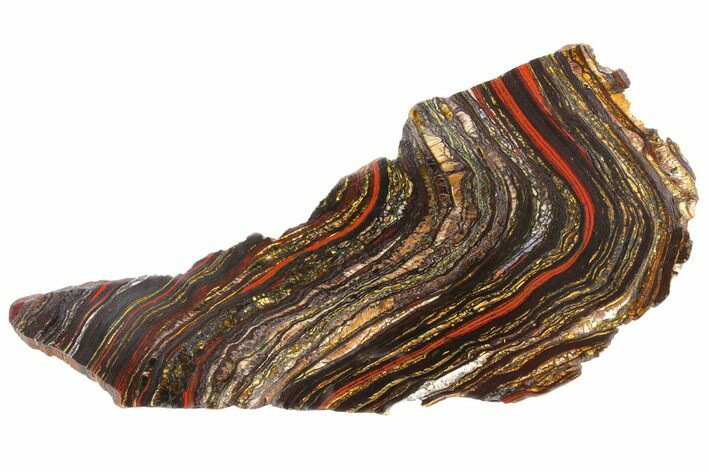 Polished Tiger Iron Stromatolite - Billion Years #129307